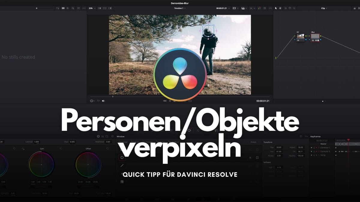 DaVinci Resolve: Leute/Objekte verpixeln + verfolgen (Tracking)